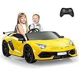 2-Seater Ride on Car 24V Electric Lamborghini for Kids High Speed 13km/h Drift Sports Car with PU Leather Seats w/Adjustable Safety Belt, 2 Speeds Mode, Music, Gifts for Children