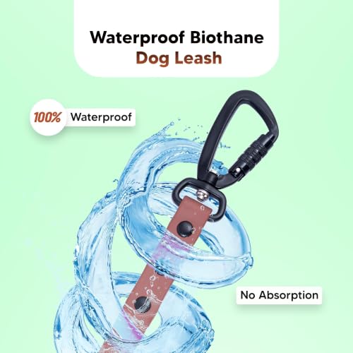 Image of Adil's Biothane Waterproof Dog Collar, Dog Leash & Collar Leash Combo | Heavy Duty TPU Coated Webbing | Adjustable Quick Release Buckle | Odour Resistant (Chestnut, L-22, Leash Only)