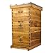 Natural Bees Wax Coated Hoover Hives 8 Frame Bee Hive Includes Frames and Foundations (2 Deep Box, 1 Medium Box)