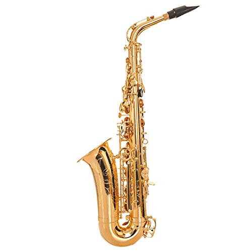 【希少】Palatino アルトサックス　入門用　早い者勝ち 希少】Palatino アルトサックス 入門用 早い者勝ち 【公式通販】