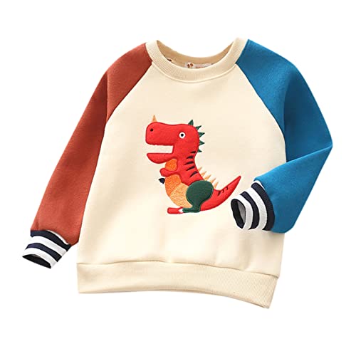 Baby Boys Girls Sweatshirt Thick Fleece Crewneck 𝗥aglan Long Sleeve Windproof Tops Dinosaur Embroidery Pullover