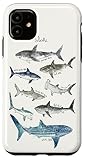 Sharks Case for iPhone 11