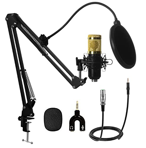 TECHBLAZE Dynamic Condenser Microphone Kit for Recording Podcast Mic ...