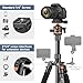 Victiv 76 inch Camera Tripod Stand with 360° Panorama Ball Head, Universal Phone Holder, Portable Bag, Entry-Level Lightweight Travel Compact Tripod, Compatible with Canon Sony Cameras DSLR Gopros