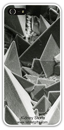 Amazon.com: Lab Rat Gifts IP5008CASE Plastic Amazing Exclusive SEM ...