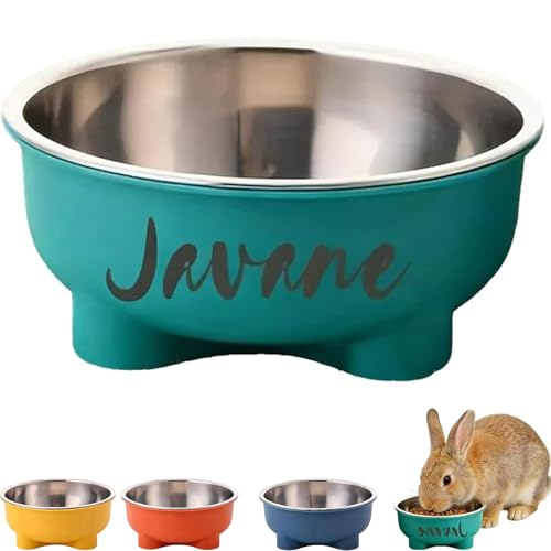 Personalisiert Futternapf Hund mit Gravur Name/Text,Edelstahl-Hundenapf Fressnapf Kleine Hund rutschfest Wassernapf für Hund Katze (Green)