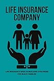  Life Insurance Company: Life Insurance Wealth-Building Strategies For Black Families (English Edition)