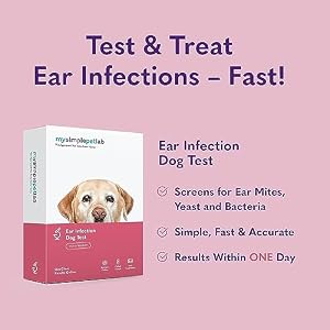 MySimplePetLab Dogs Ear Infection Test Kit | Fast and Accurate Detection of Yeast and other Ear Irritations| Reliable Mail-in Dog Ear Care Test for Smelly, Itchy, or Sore Ears MySimplePetLab Dogs Ear Infection Test Kit | Fast and Accurate Detection of Yeast and other Ear Irritations| Reliable Mail-in Dog Ear Care Test for Smelly, Itchy, or Sore Ears