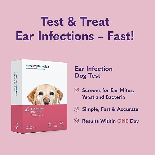MySimplePetLab Dogs Ear Infection Test Kit | Fast and Accurate Detection of Yeast and other Ear Irritations| Reliable Mail-in Dog Ear Care Test for Smelly, Itchy, or Sore Ears MySimplePetLab Dogs Ear Infection Test Kit | Fast and Accurate Detection of Yeast and other Ear Irritations| Reliable Mail-in Dog Ear Care Test for Smelly, Itchy, or Sore Ears