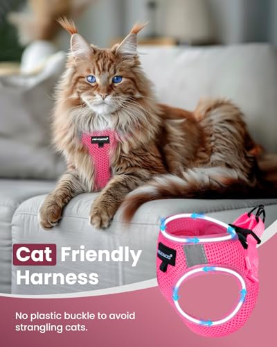 Image of FAYOGOO Cat Harness and Leash Set, Escape-Proof Step-in Vest for Walking | Step-in mesh vest, velcro + buckle + D-ring; reflective strips; includes matching leash; 5 sizes