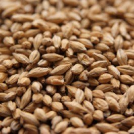 Weyermann Floor-Malted Bohemian Pilsner Uncrushed Malt - 55 lb. Bag