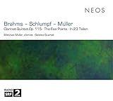  Clarinet Quintet in B Minor, Op. 115: IV. Con moto