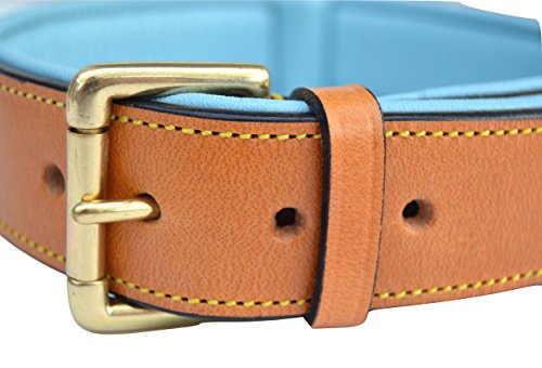Soft Touch Collars Leather Padded Dog Collar , Extra Large, Tan and Teal, Heavy Duty Brass Buckle, 28" Long x 1 3/4" Wide, Neck Size 22" to 25" , Size XL - Thumbnail 2