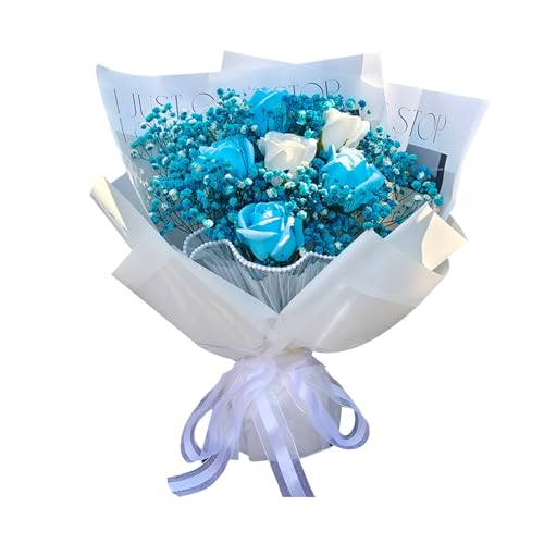 MAIBED  o J[l[V  񂰑ܕt \[vt[ u[P t[AWg o^Cf[ ̓ v[g (O) [sAi]