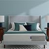 Casper Sleep Element Queen Medium Firm Mattress Memory Foam Support 100 Night Trial CertiPUR US Mattress Grey