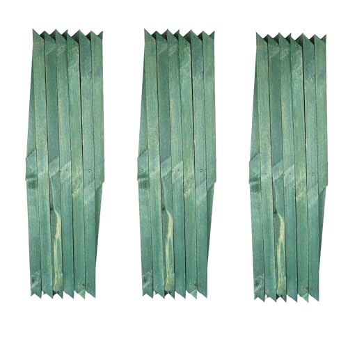 Kanta Lot de 3 treillis muraux extensibles en bois pour plantes grimpantes, décoration et cloisonnement (vert, 180 cm x 30 cm)