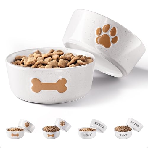 Ceramic Dog Bowl Set of 2 with Anti-Skid Base - 5 Wide x 2 Tall Ceramic Dog Bowls for Small Dogs - 2 Cup Capacity Food and Water Bowls for Dogs - Rubber Bottom Pet Bowl Set of 2 for Small Pets