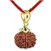 CaratYogi Natural Nepali 4 Face Four Mukhi Rudraksha Spiritual Chakra Healing Meditation Loose Rudraksh 18K Gold Plated Pendant