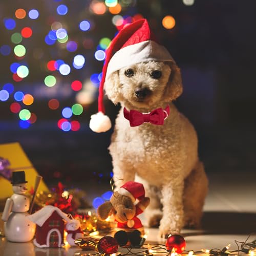 ARING PET Samt-Hundehalsband, niedliche rote Fliege, weiches, bequemes, verstellbares Samt-Hundehalsband mit Schleife für kleine, mittelgroße Hunde