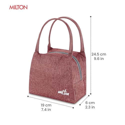 Image of MILTON Fancy Lunch Bag I Design Tiffin Bag for Office for Men, Women I Eco Friendly, Spacious, Durable I 2.44 L I Maroon