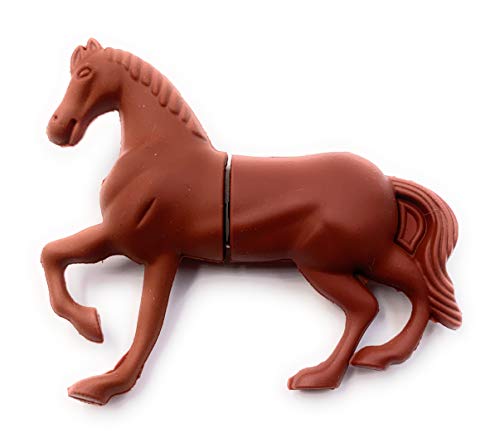 Clé USB 3.0 cheval marron 128 Go pour stocker vos photos de concours équestres