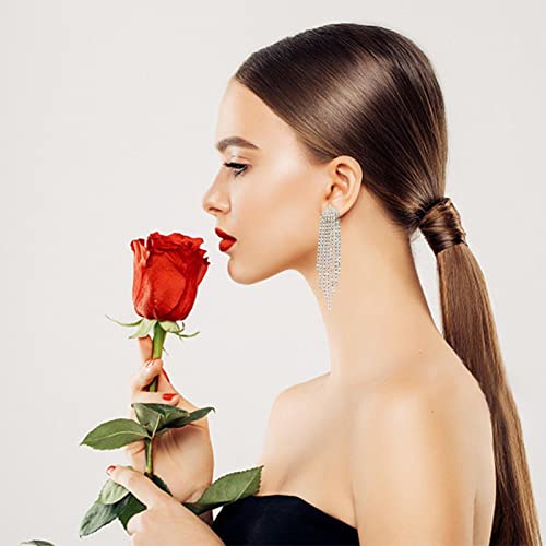 Brincos Brilhantes,Pendentes Brincos Para Mulheres - Lágrima Brincos Lustre de Cristal Longas Borlas