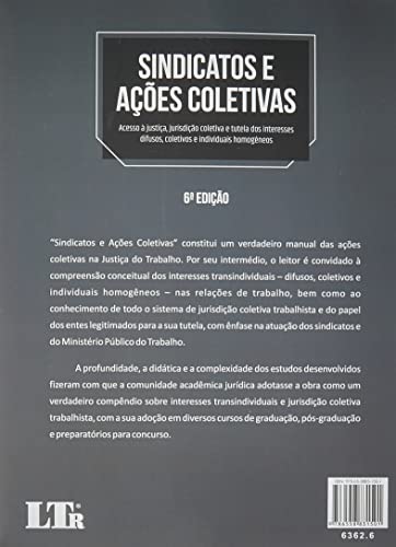 SINDICATOS E AÇÕES COLETIVAS - ACESSO À JUTIÇA, JURINDIÇÃO COLETIVA E TUTELA DOS INTERESSES DIFUSOS,