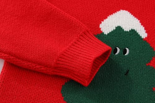 Peacolate 4-10 Years Little Big Girls' Embroidered Sweater Knit Pullover4