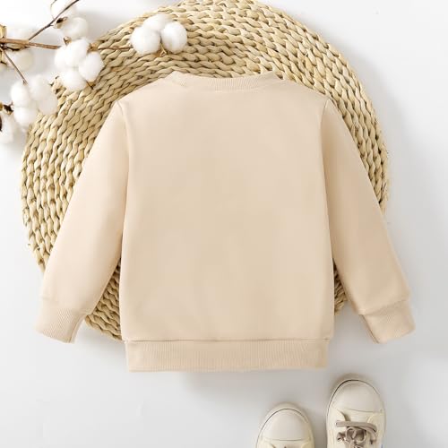 Image of Toddler Baby Girl First Birthday Outfit In My One Year Old Era Sweatshirt Tops Little Princess 1st Birthday Clothes