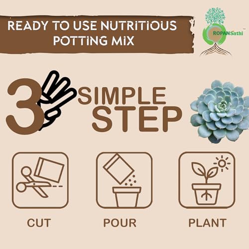 Image of Ropansathi Succulent Plant Potting Mix- 500 gram