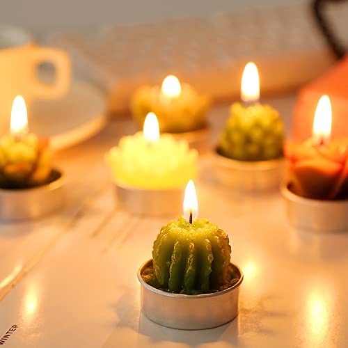 Ljqizn 12Pcs Cactus Tealight Candles Handmade Delicate Succulent Cactus Candles Tea Lights Perfect For Birthday Party Wedding Spa Home Decor Gifts (12Pcs Cactus Candles) #TOP7