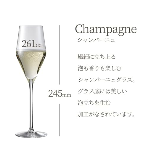 プラティーヌ シャンパングラス 2脚セット