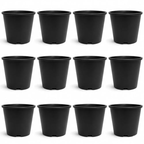Image of 4 Inch Heavy Duty Plastic Planter | Grower Pot /Garden Pot for Home & Garden (Black) (Pack of 12)