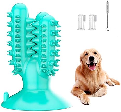 dog teeth toys