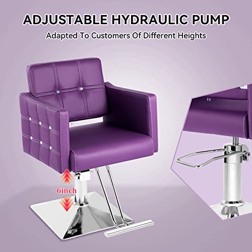 Dangvivi Barber Chair Salon Chair For Hair Stylist, Purple Adjustable Hydraulic Hair Salon Chair, 360 Degree Swivel With Hydraulic Pump, All-Purpose Shampoo Chair Tattoo Chair, Beauty Salon Equipment #TOP2