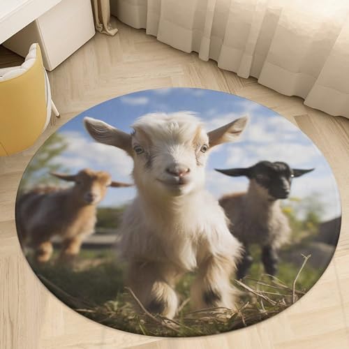 Alfombra de cabra lavable pequeña para decoración de salones y cocinas 7