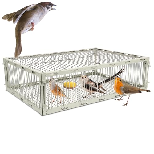 Sparrow Trap Cage Bird Traps for Small Birds Wild House Sparrow Bird Traps One Way Birds Cage Trap Bird Catcher Trap for Cardinals Quail Starlings with L Size