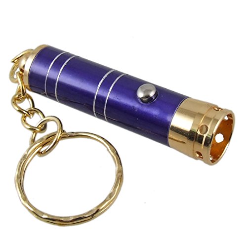 Ruilogod Cadena Mini LED blancopuro Linterna antorcha real pendiente de Key Ring Azul