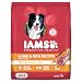 Iams Proactive Health Adult Dry Dog Food Lamb And Rice, 30 Lb. Bag