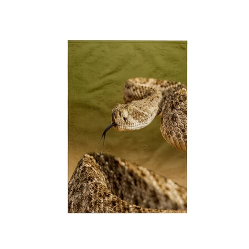 3dRose 15x22 Hand Towel - Arizona, Santa Cruz County. Coiled Western Diamondback Rattlesnake. Snakes