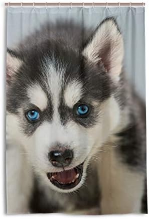 Amazon シャワーカーテン 防カビ 防水 ハスキー かっこいい かわいい フック付き 遮像 浴室 間仕切り 厚手 浴室カーテン お風呂 取り付け簡単 122cm 1cm シャワーカーテン ホーム キッチン オンライン通販