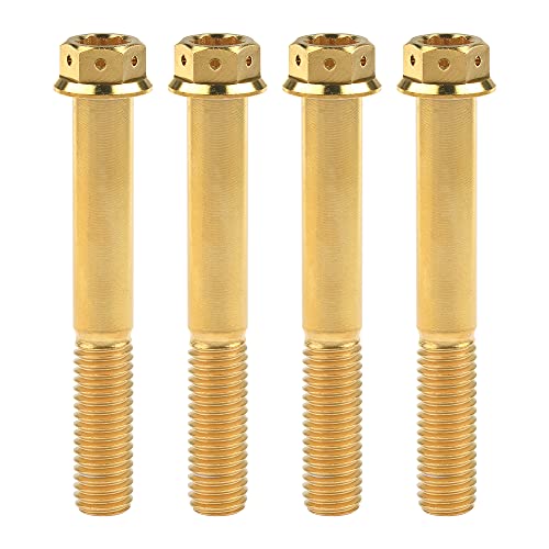 Tornillos de titanio M10 para personalizar tu moto de carretera y rutas de fin de semana
