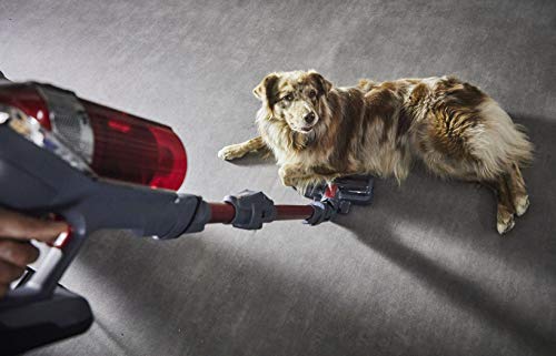 Rowenta XForce Flex 11.60 Aspirateur Balai Sans fil Puissant Batterie Amovible 25,2V Jusqu'à 45min d'Autonomie Tube Flexible Panneau de Commande Digital Tête d’Aspiration Eclairée Kit Animal RH9878WO Rowenta XForce Flex 11.60 Aspirateur Balai Sans fil Puissant Batterie Amovible 25,2V Jusqu'à 45min d'Autonomie Tube Flexible Panneau de Commande Digital Tête d’Aspiration Eclairée Kit Animal RH9878WO