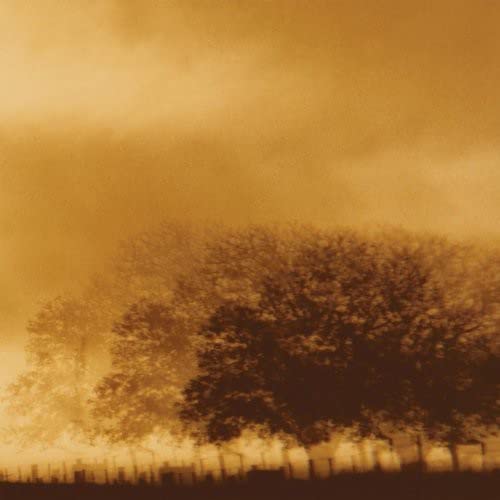 Infinite Light Ltd [VINYL]