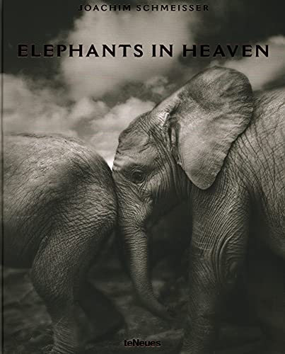 Elephants in heaven. Ediz. inglese, francese e