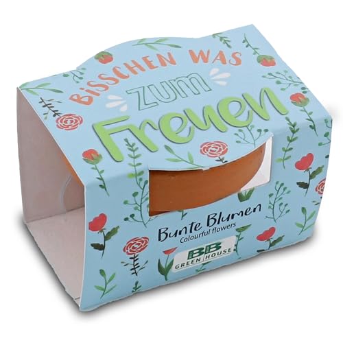 Bull & Bear Mini-Pflanzset `Bisschen was zum Freuen´, Blumensamen im Topf 4,5cm, Bunte Blumen als Anzuchtset mit Pflegeanleitung Bull & Bear Mini-Pflanzset `Bisschen was zum Freuen´, Blumensamen im Topf 4,5cm, Bunte Blumen als Anzuchtset mit Pflegeanleitung