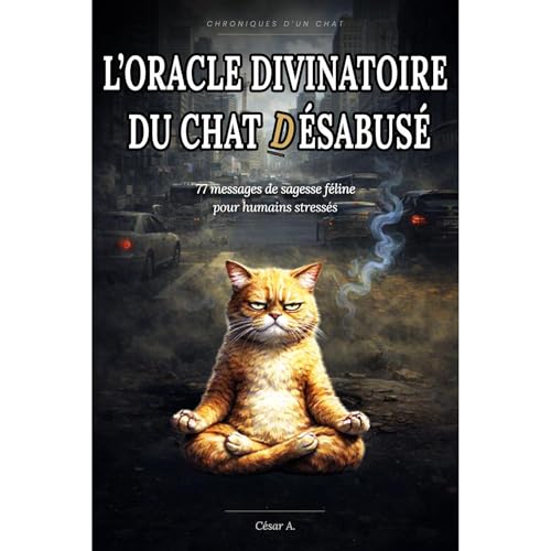 L&rsquo;Oracle divinatoire du chat d&eacute;sabus&eacute; Audiobook By C&eacute;sar A. Delacroix cover art