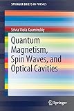 magneto optical disk reader  Quantum Magnetism, Spin Waves, and Optical Cavities (SpringerBriefs in Physics)