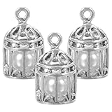 Didiseaon Hollow Cage Pendant for Necklace: 3pcs Love Bird Locket Unique Pearl Bead Cages Essential Oil Diffuser Necklaces Earrings Charms for DIY Jewelry Making