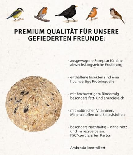 Dehner Natura Premium Meisenknödel ohne Netz, Insektenknödel, ganzjähriges Wildvogelfutter proteinreich / energiereich, im Eimer, 100 Stück je 90 g (9 kg)